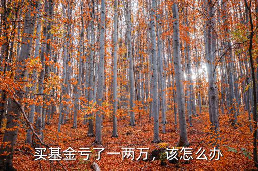 買基金虧了一兩萬，該怎么辦