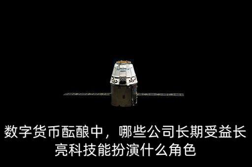 數(shù)字貨幣醞釀中，哪些公司長期受益長亮科技能扮演什么角色