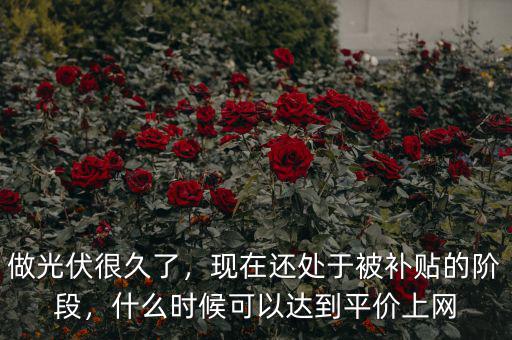 做光伏很久了，現(xiàn)在還處于被補貼的階段，什么時候可以達(dá)到平價上網(wǎng)