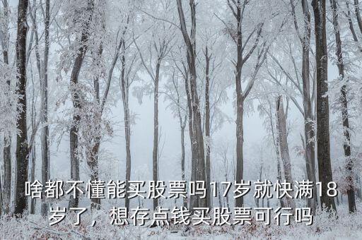 啥都不懂能買股票嗎17歲就快滿18歲了，想存點錢買股票可行嗎