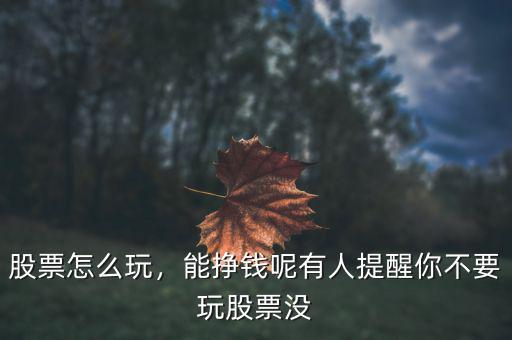 股票怎么玩，能掙錢呢有人提醒你不要玩股票沒(méi)