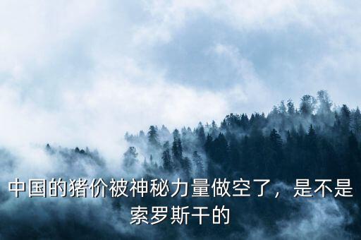 中國的豬價被神秘力量做空了，是不是索羅斯干的