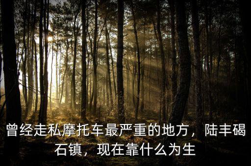 曾經(jīng)走私摩托車最嚴(yán)重的地方，陸豐碣石鎮(zhèn)，現(xiàn)在靠什么為生