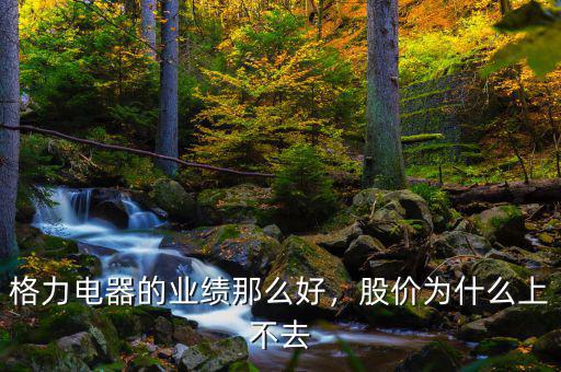格力電器的業(yè)績那么好，股價為什么上不去