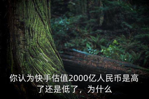 你認為快手估值2000億人民幣是高了還是低了，為什么