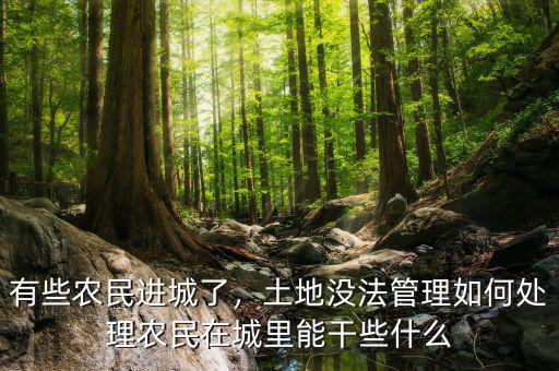 有些農(nóng)民進(jìn)城了，土地沒(méi)法管理如何處理農(nóng)民在城里能干些什么