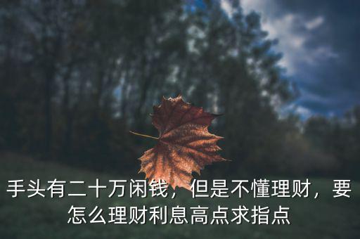 手頭有二十萬閑錢，但是不懂理財，要怎么理財利息高點求指點
