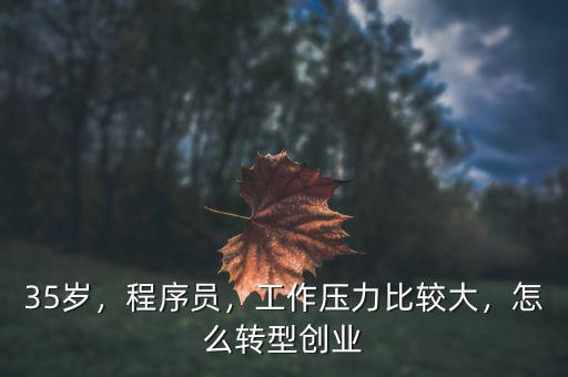 35歲，程序員，工作壓力比較大，怎么轉(zhuǎn)型創(chuàng)業(yè)