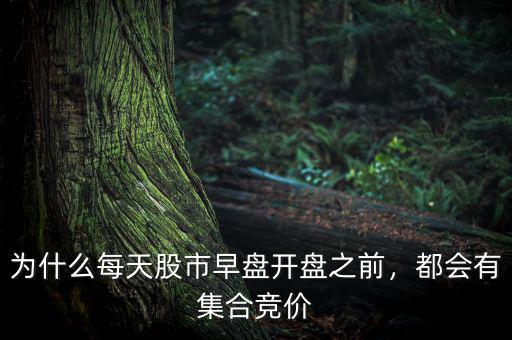 為什么每天股市早盤開盤之前，都會有集合競價