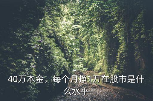 40萬本金，每個(gè)月掙1萬在股市是什么水平