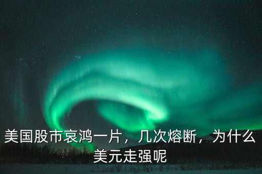 美國股市哀鴻一片，幾次熔斷，為什么美元走強呢