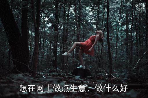 想在網(wǎng)上做點(diǎn)生意，做什么好