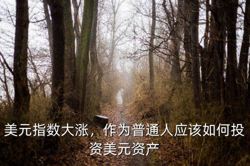 美元指數(shù)大漲，作為普通人應(yīng)該如何投資美元資產(chǎn)