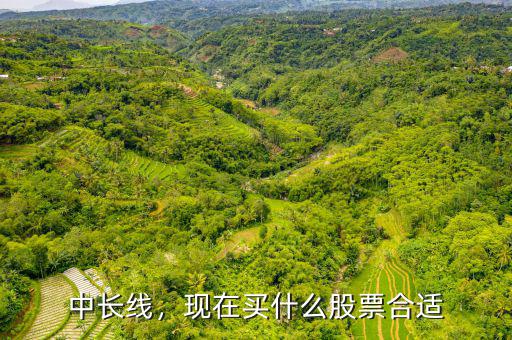 中長(zhǎng)線，現(xiàn)在買(mǎi)什么股票合適