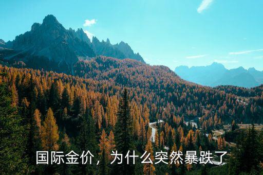 國(guó)際金價(jià)，為什么突然暴跌了