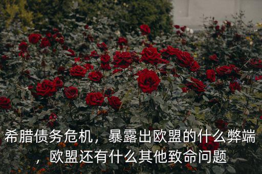 希臘債務(wù)危機，暴露出歐盟的什么弊端，歐盟還有什么其他致命問題