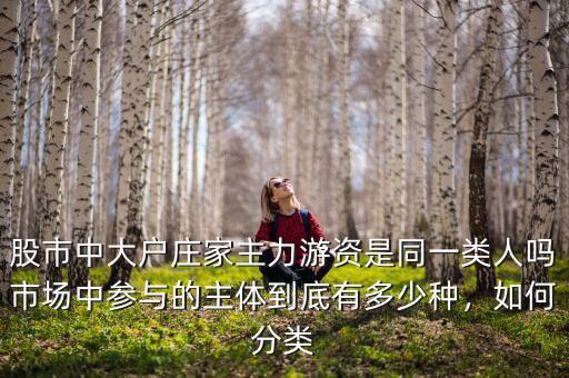 股市中大戶莊家主力游資是同一類人嗎市場(chǎng)中參與的主體到底有多少種，如何分類