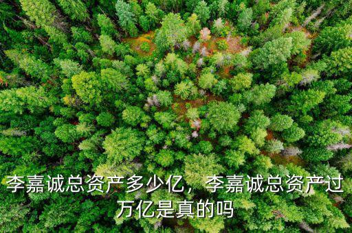 李嘉誠總資產(chǎn)多少億，李嘉誠總資產(chǎn)過萬億是真的嗎