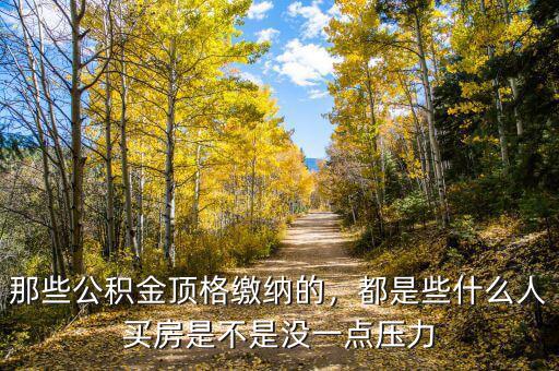 那些公積金頂格繳納的，都是些什么人買房是不是沒一點壓力