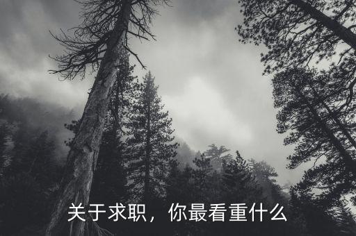 關(guān)于求職，你最看重什么