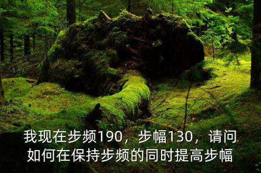 我現(xiàn)在步頻190，步幅130，請(qǐng)問(wèn)如何在保持步頻的同時(shí)提高步幅