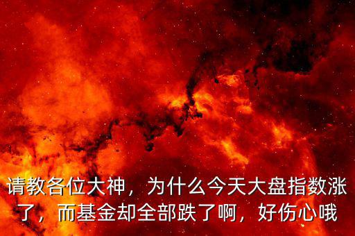 請教各位大神，為什么今天大盤指數(shù)漲了，而基金卻全部跌了啊，好傷心哦
