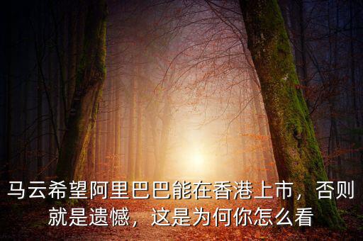 馬云希望阿里巴巴能在香港上市，否則就是遺憾，這是為何你怎么看