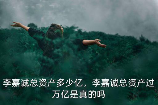 李嘉誠(chéng)總資產(chǎn)多少億，李嘉誠(chéng)總資產(chǎn)過萬億是真的嗎
