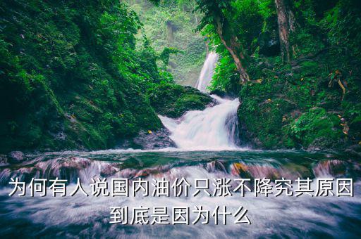 為什么中國(guó)油價(jià)不降,為何有人說國(guó)內(nèi)油價(jià)只漲不降