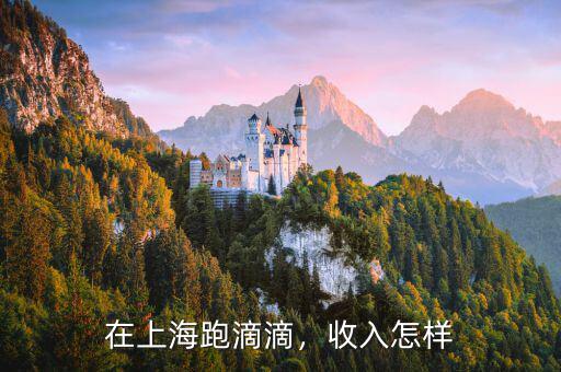 在上海跑滴滴，收入怎樣