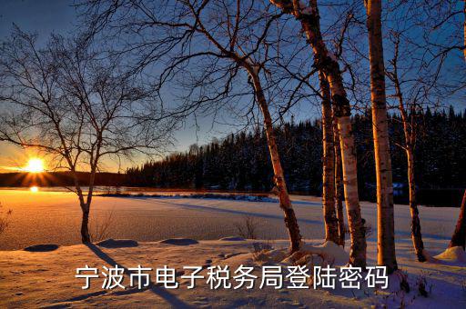電子稅務(wù)默認(rèn)登錄密碼是什么，稅務(wù)局網(wǎng)站的登入賬戶初始密碼是什么