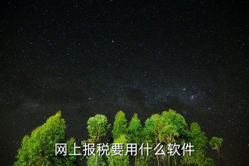 網上報稅下載什么軟件，深圳etax網上報稅軟件哪里下載