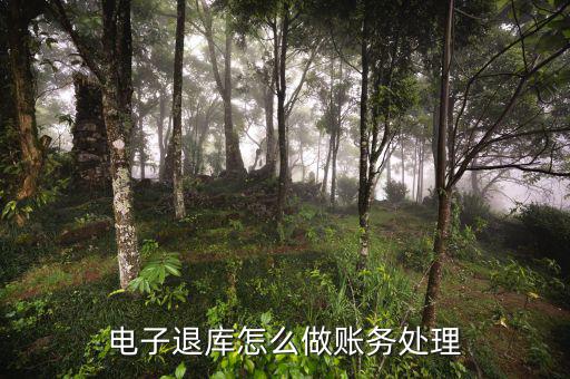 地稅電子退庫入什么科目，電子退庫款退稅款的會計分錄怎么做求解答