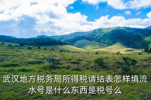 地稅流水號是什么，納稅人流水號是什么