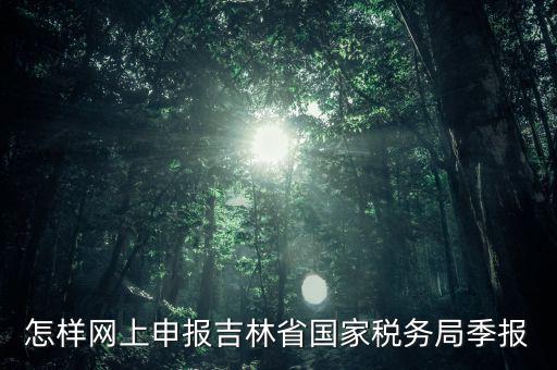 吉林省用什么報稅系統(tǒng)，吉林省的報稅系統(tǒng)如何使用