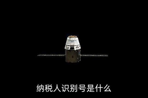 海寧市國家稅務局認別號是什么，納稅人識別號是什么