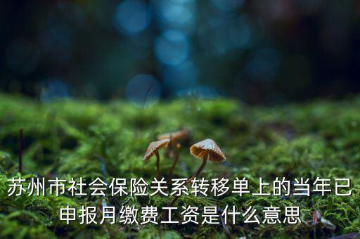 社保已申報(bào)是什么意思，新手求助請(qǐng)問(wèn)網(wǎng)上申報(bào)是什么意思