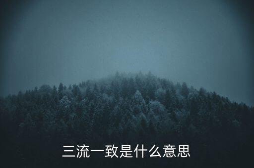 發(fā)票 流向一致是什么意思，發(fā)票四流一致是哪四流