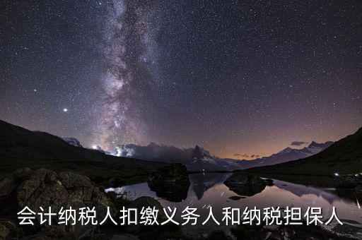 什么叫納稅擔保人，什么是納稅擔保
