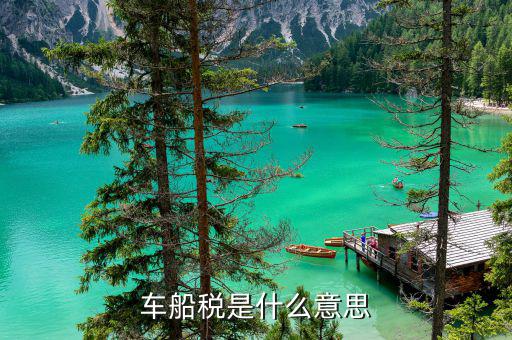 報稅里面有 車船稅什么意思，車船稅是什么意思