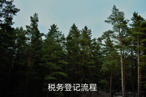 扣繳稅款登記主要流程是什么意思，納稅流程是怎樣的