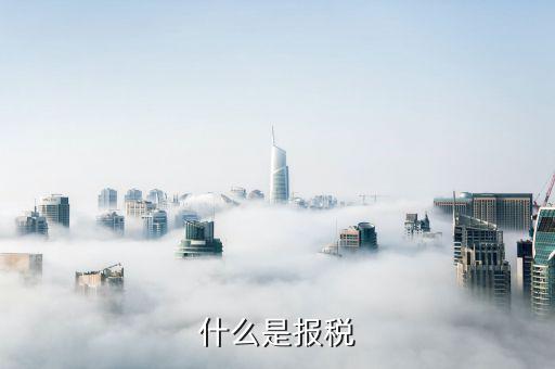 稅友報(bào)稅是什么，稅友是干什么的