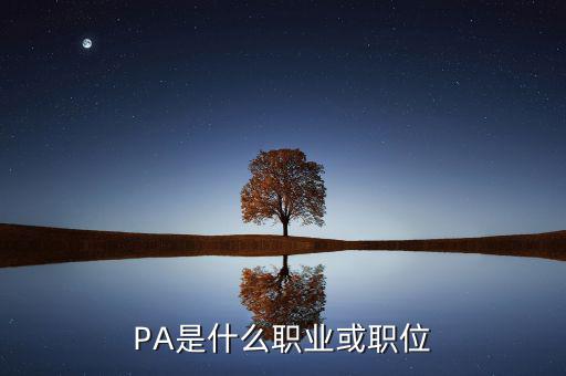 河南省國稅局陳紅偉什么職務(wù)，PA是什么職業(yè)或職位