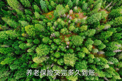 西安地稅養(yǎng)老什么時候到賬，養(yǎng)老保險交完多久到賬