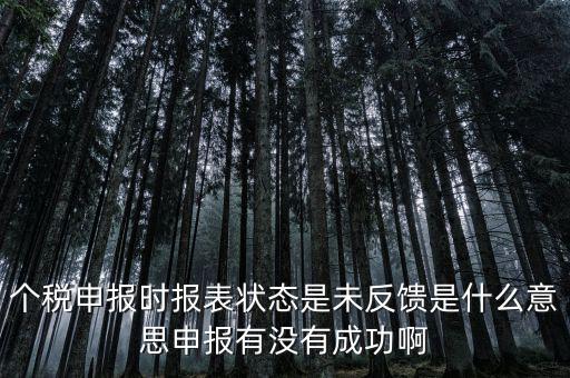 個(gè)稅為什么要獲取反饋信息，個(gè)稅申報(bào)完成后的反饋文件有什么用