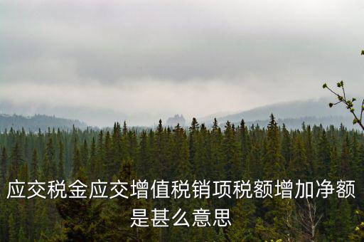 稅額增長(zhǎng)點(diǎn)是什么意思，應(yīng)交稅金應(yīng)交增值稅銷項(xiàng)稅額增加凈額是甚么意思