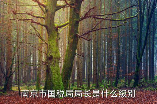 南京市國稅局局長是什么級(jí)別
