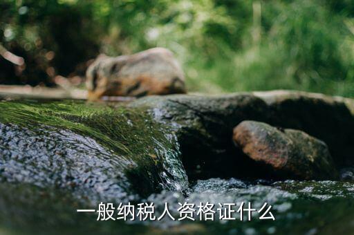 一般納稅人證是什么意思，一般納稅人資格證什么