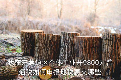 四稅一費(fèi)是什么，我在東莞鎮(zhèn)區(qū)個(gè)體工業(yè)開9800元普通稅如何申報(bào)地稅要交哪些