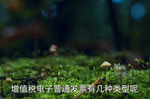 普通發(fā)票有什么種類(lèi)，發(fā)票分幾種